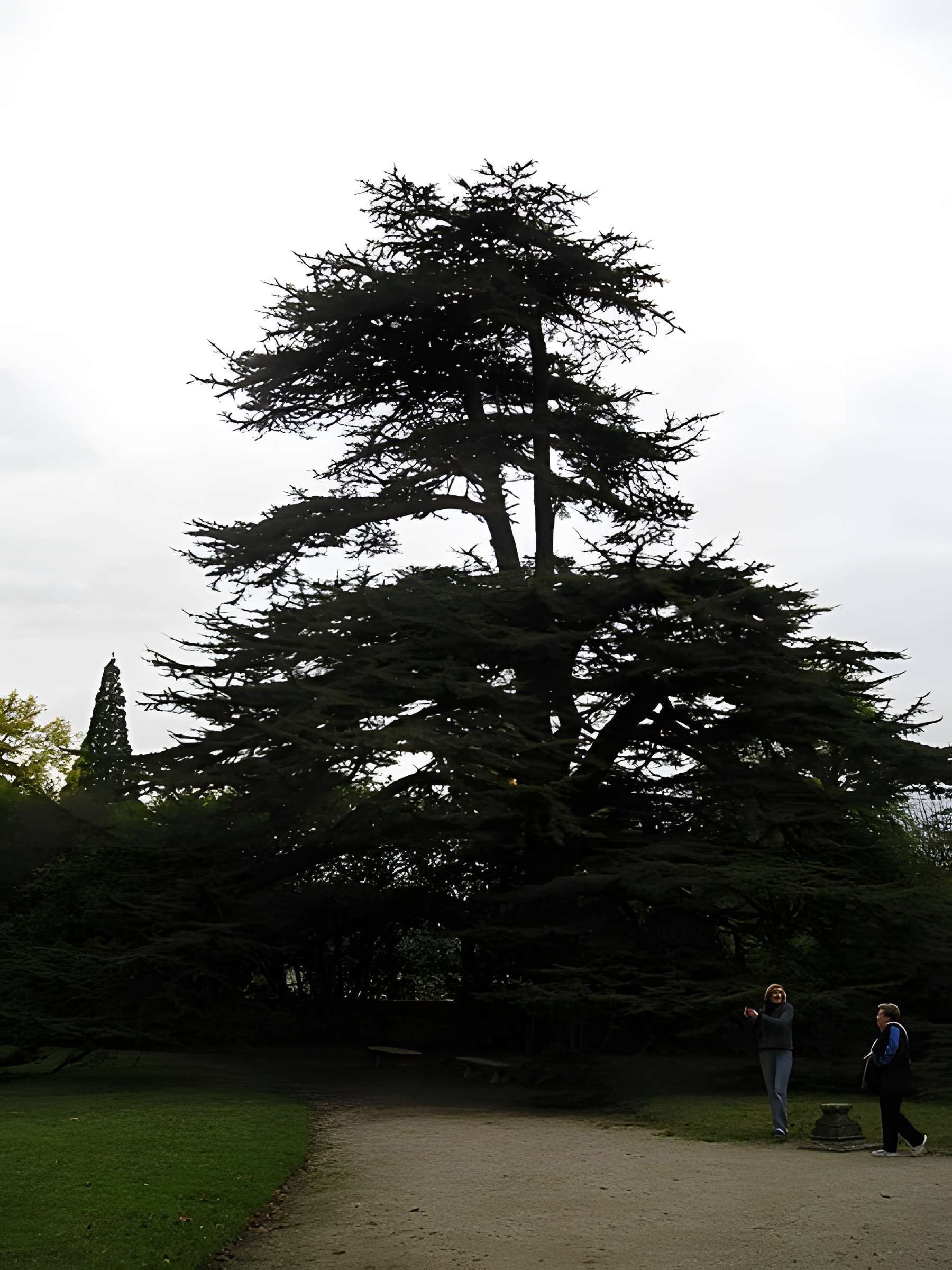 Château de Malmaison