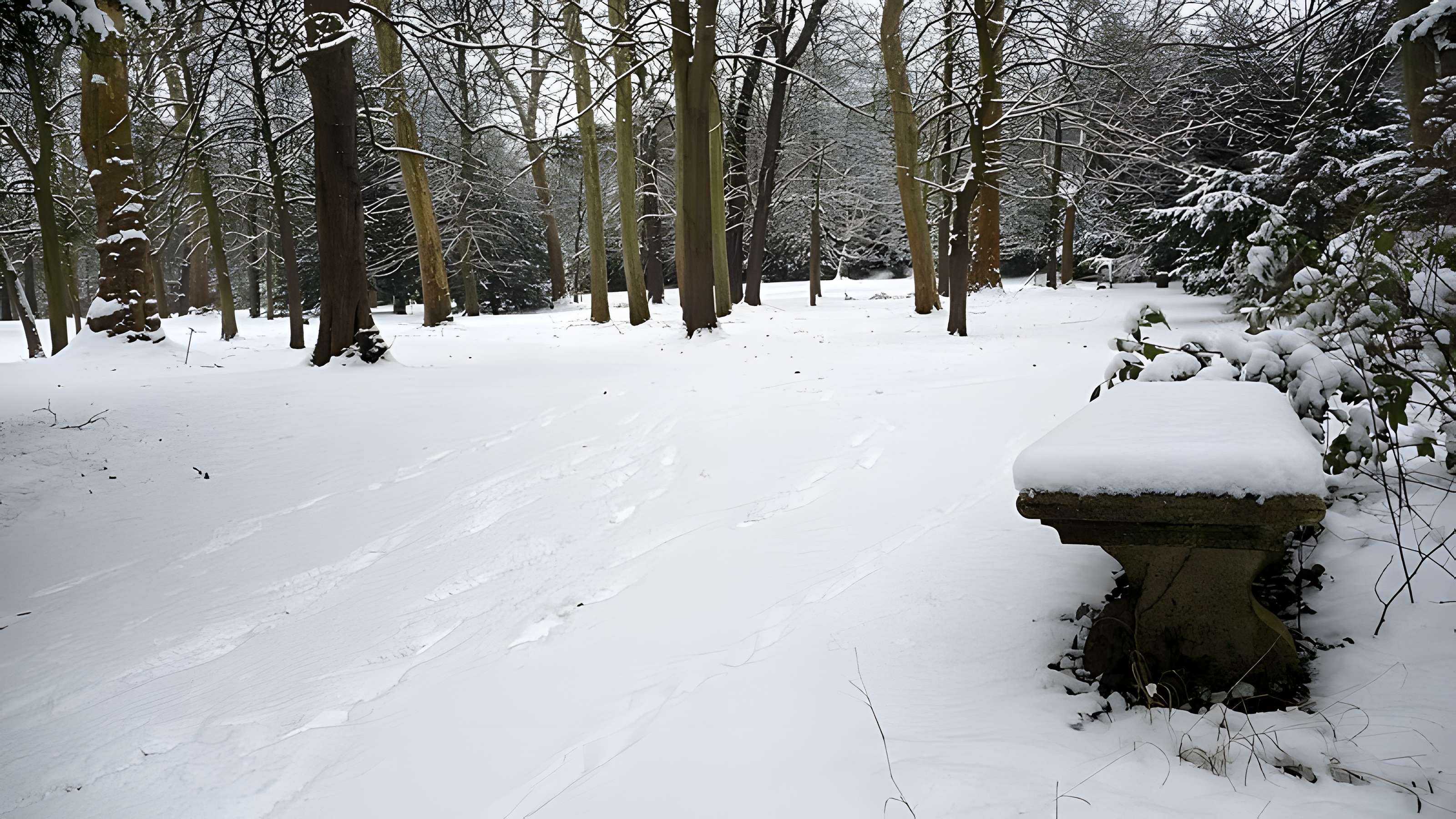 Château de Malmaison