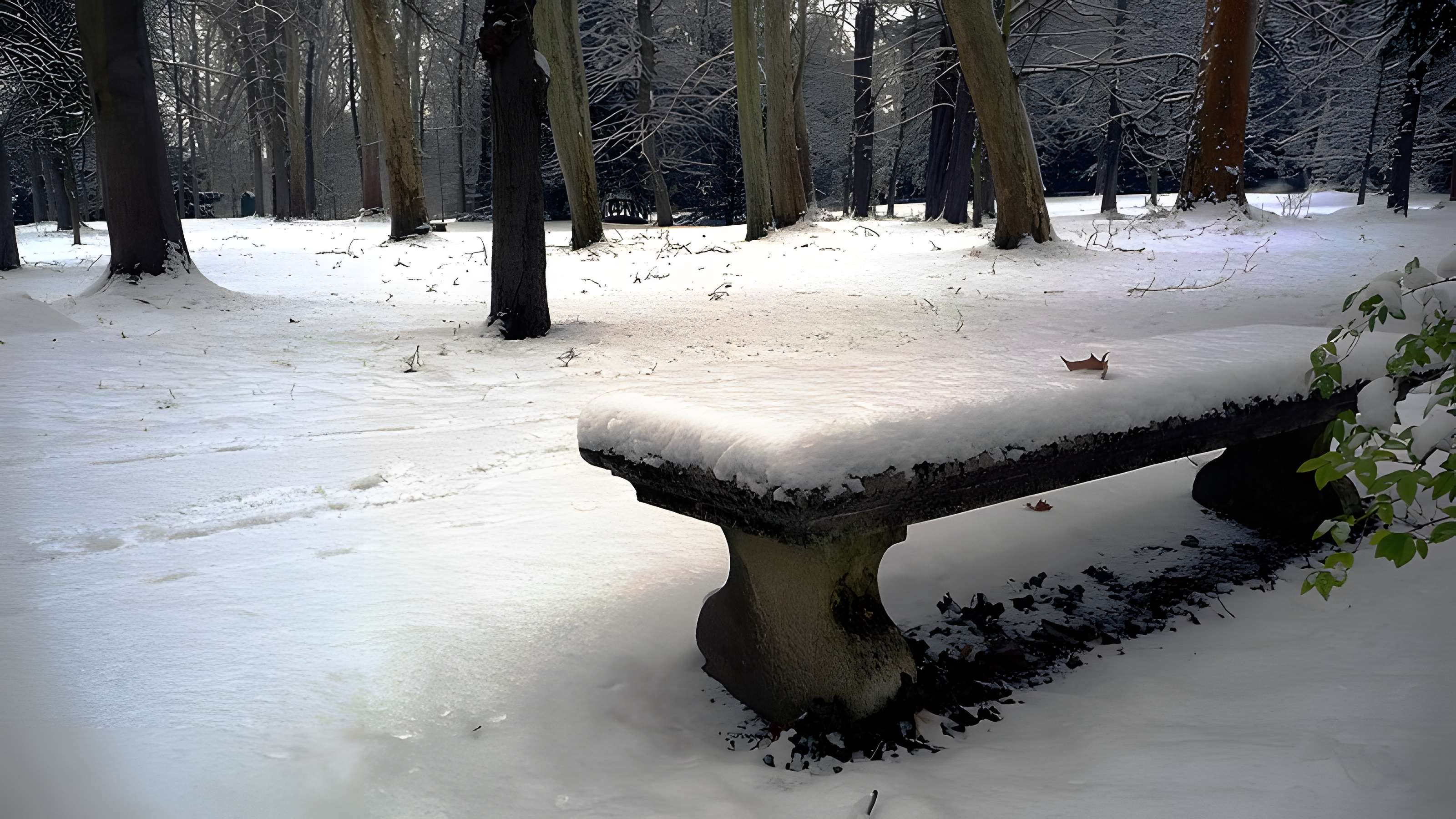 Château de Malmaison