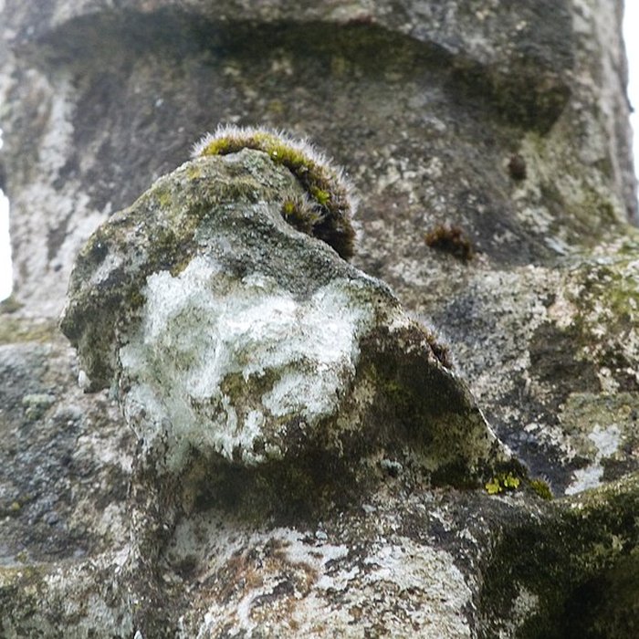 Photo de Croix de chemin dite Croix de Bleyssoles