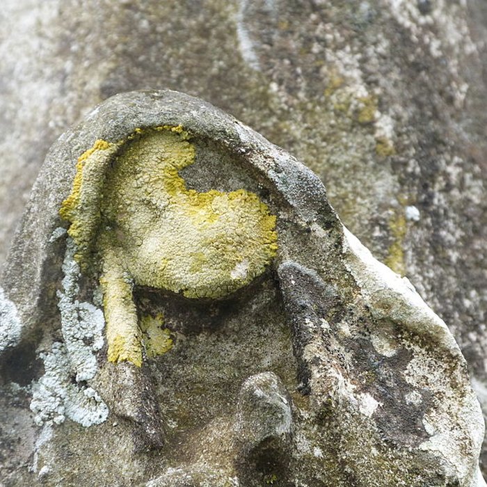 Photo de Croix de chemin dite Croix de Bleyssoles