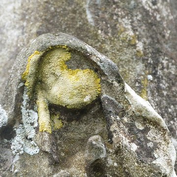 Croix de chemin dite Croix de Bleyssoles