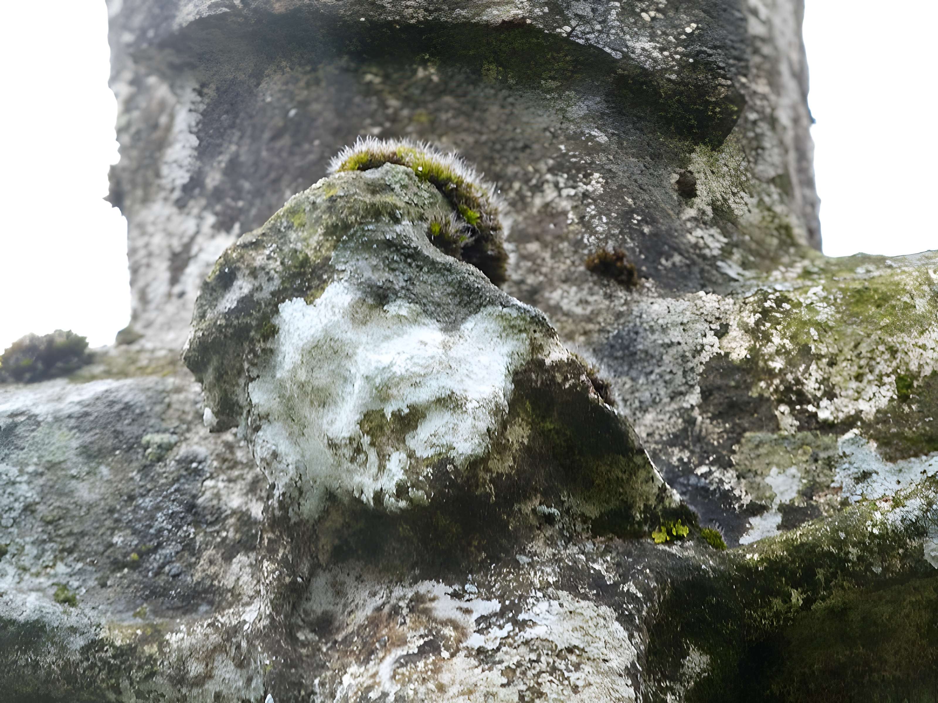 Croix de chemin dite Croix de Bleyssoles