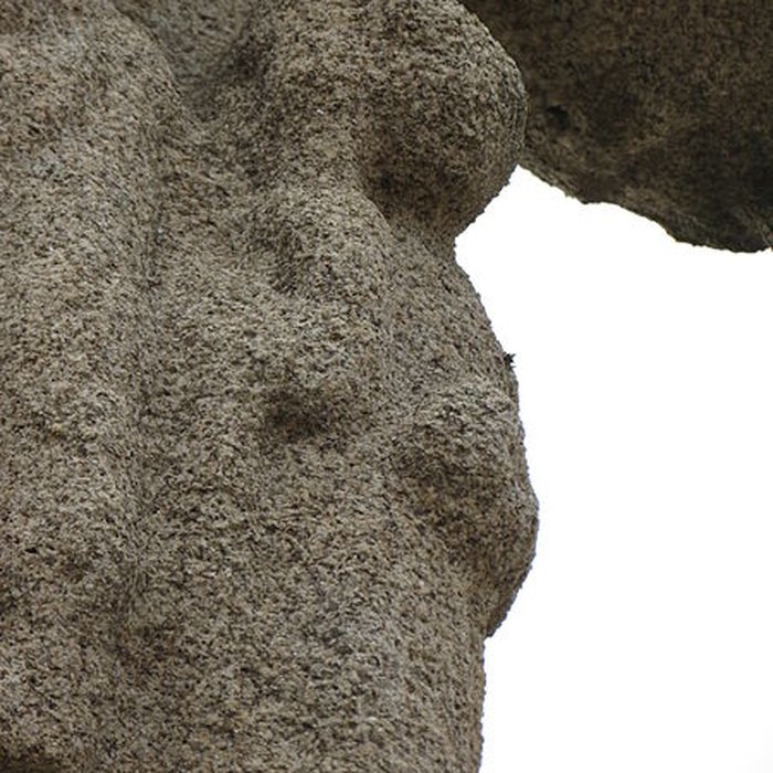 Photo de Croix de Brogard à La Turballe