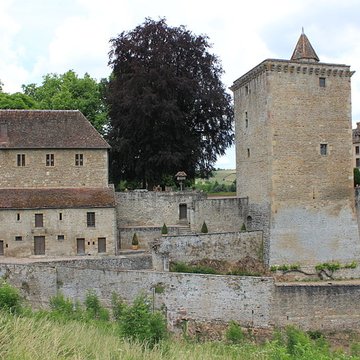 Château de Marguerite de Bourgogne