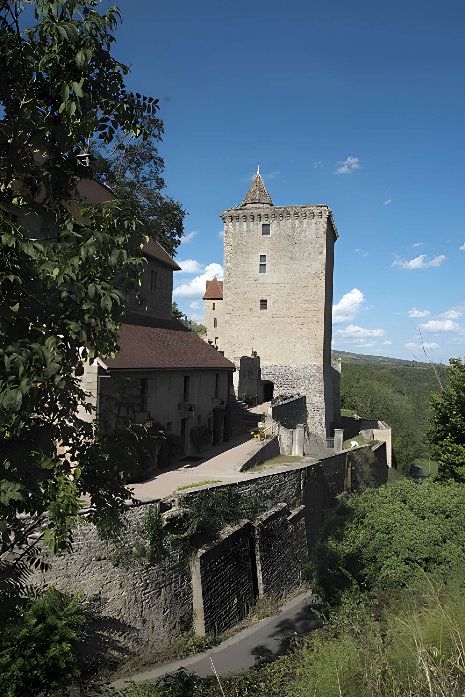 Château de Marguerite de Bourgogne