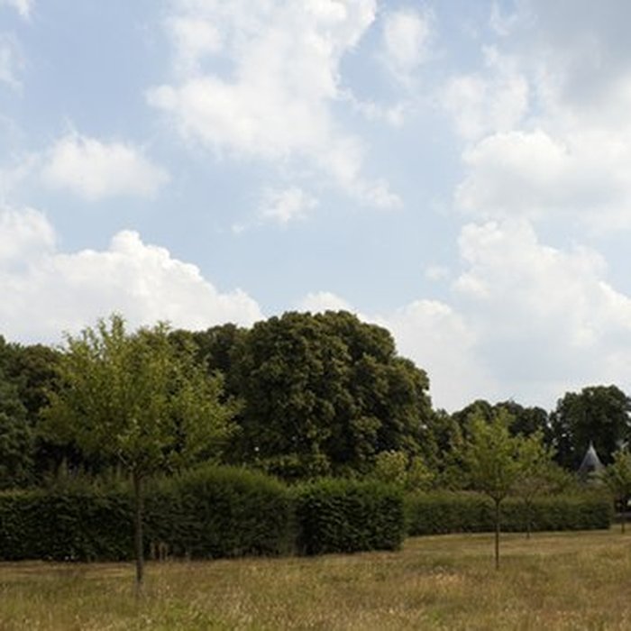 Photo de Château de Martainville