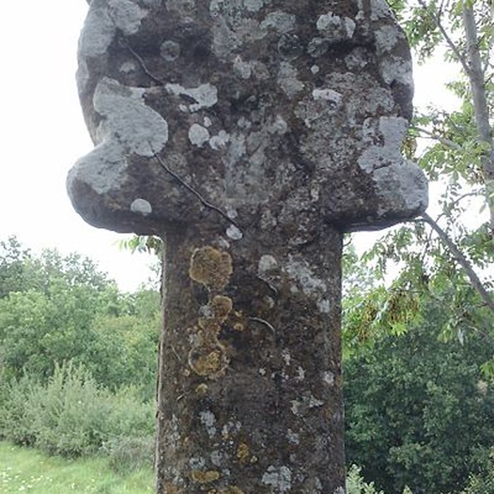 Photo de Croix romane de Feuguerolles-Bully