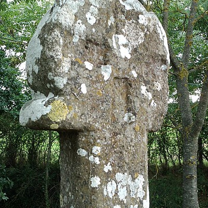 Photo de Croix romane de Feuguerolles-Bully