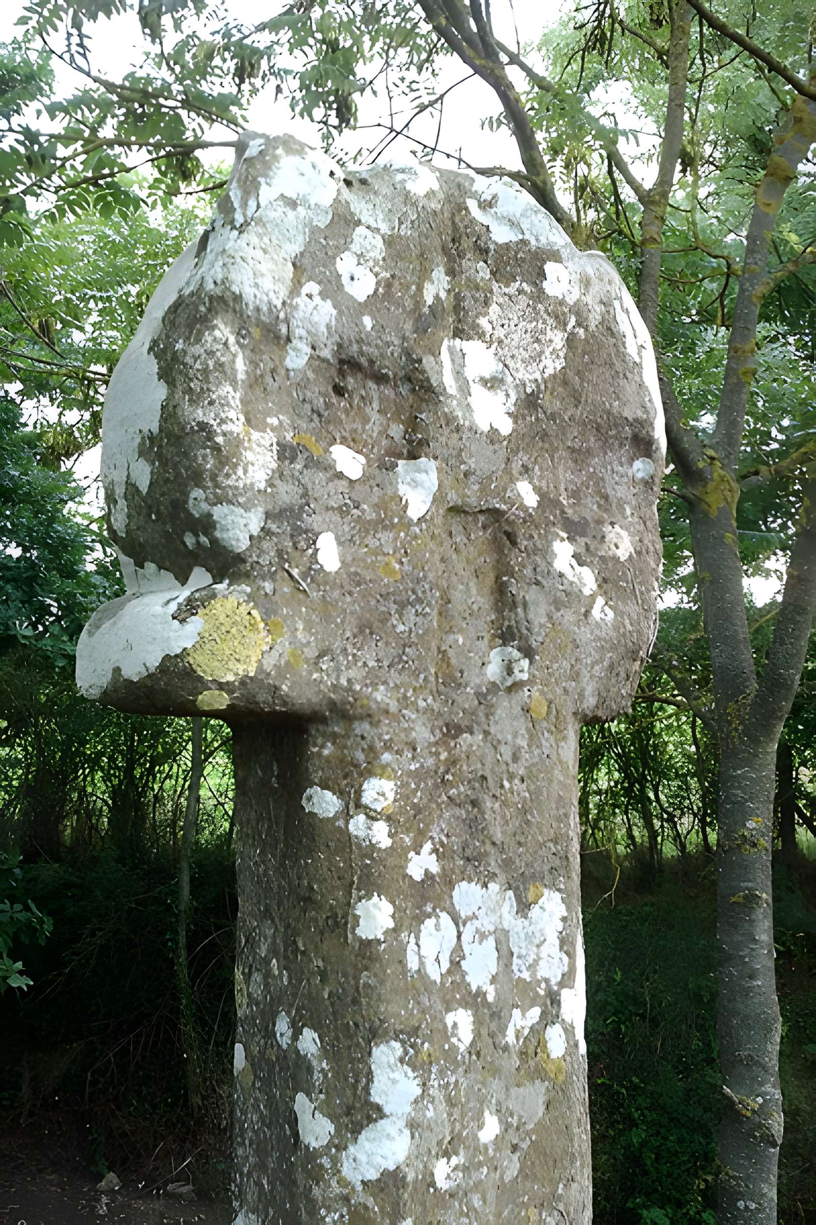 Croix romane de Feuguerolles-Bully