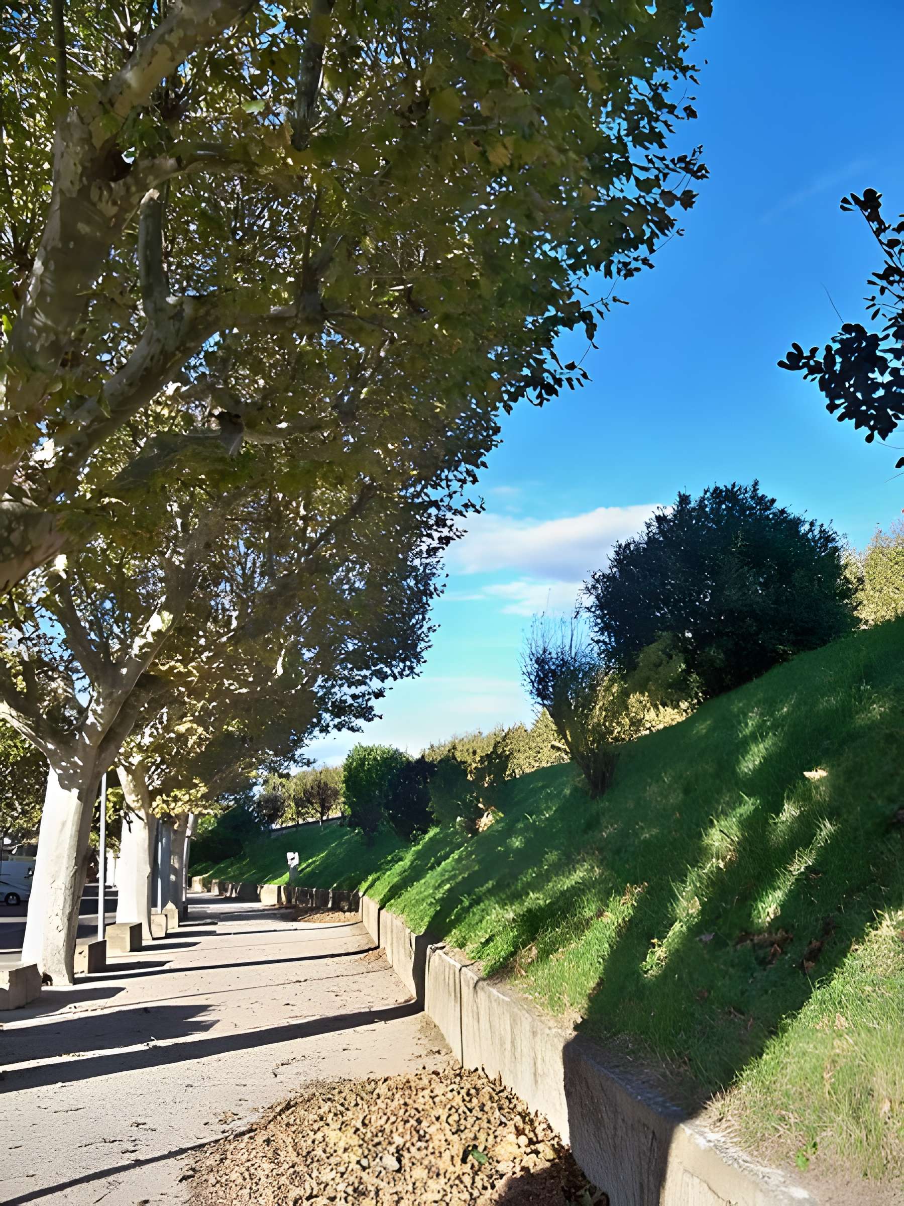 Digue d'enceinte de Caderousse