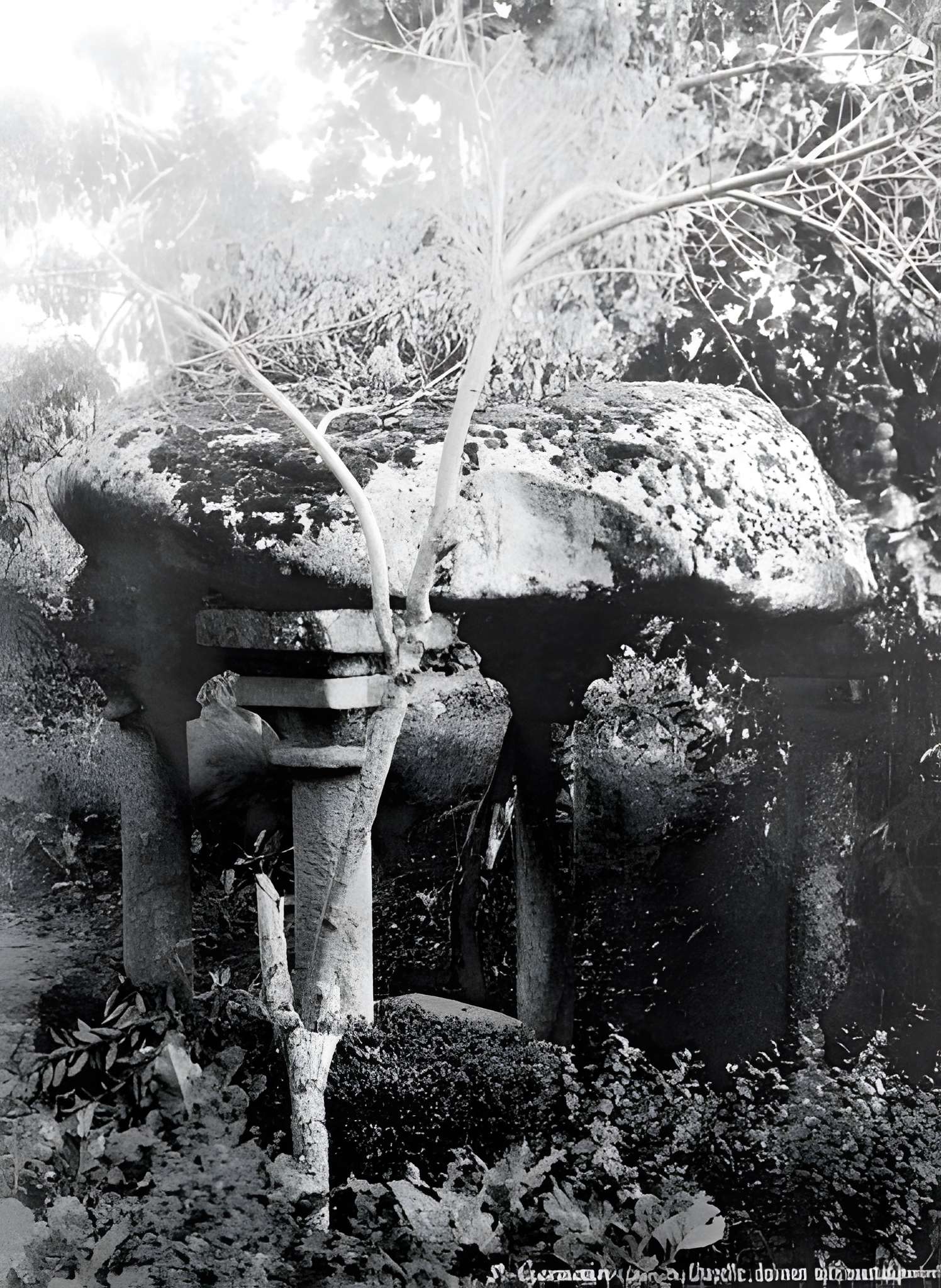 Dolmen de la Madeleine à Lessac