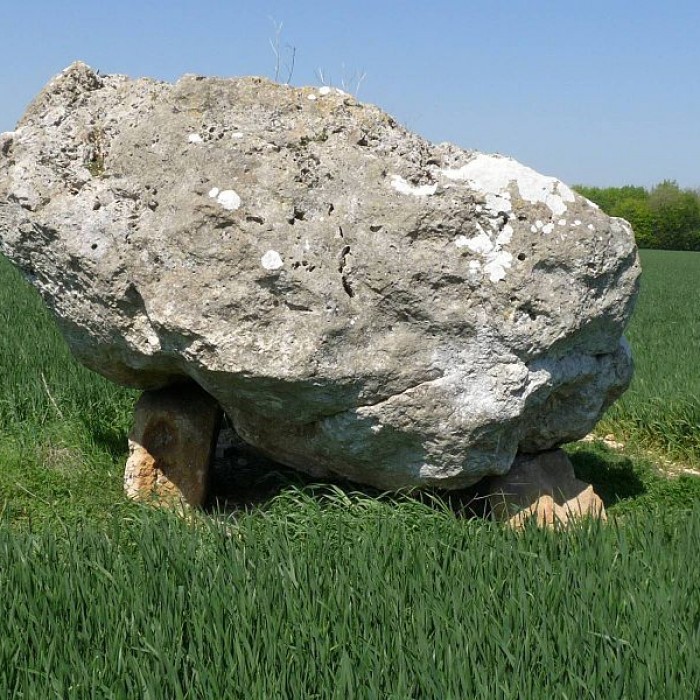 Photo de Dolmen de la Pierre Blanche à Bessé