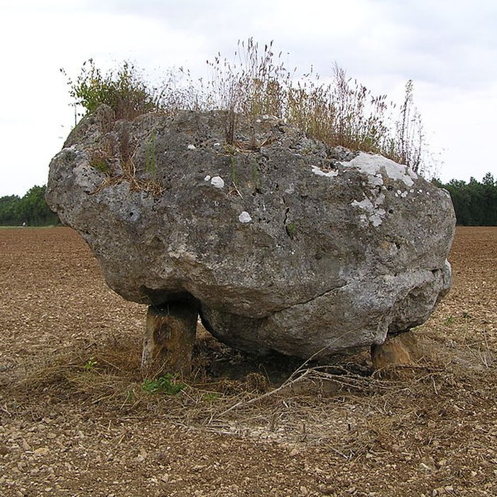 Photo de Dolmen de la Pierre Blanche à Bessé