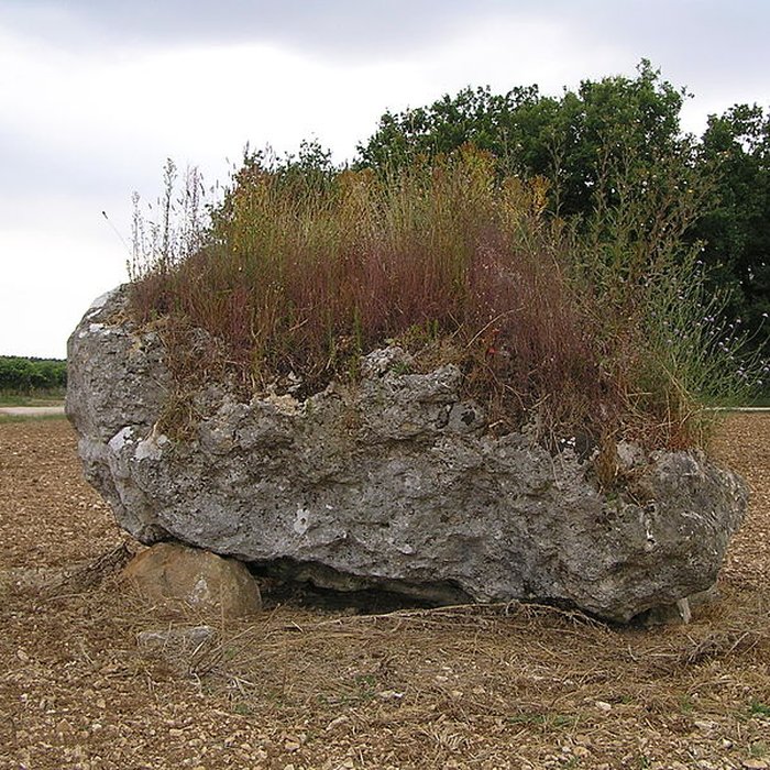 Photo de Dolmen de la Pierre Blanche à Bessé