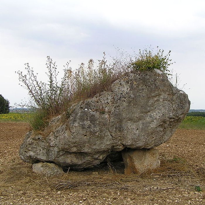 Photo de Dolmen de la Pierre Blanche à Bessé