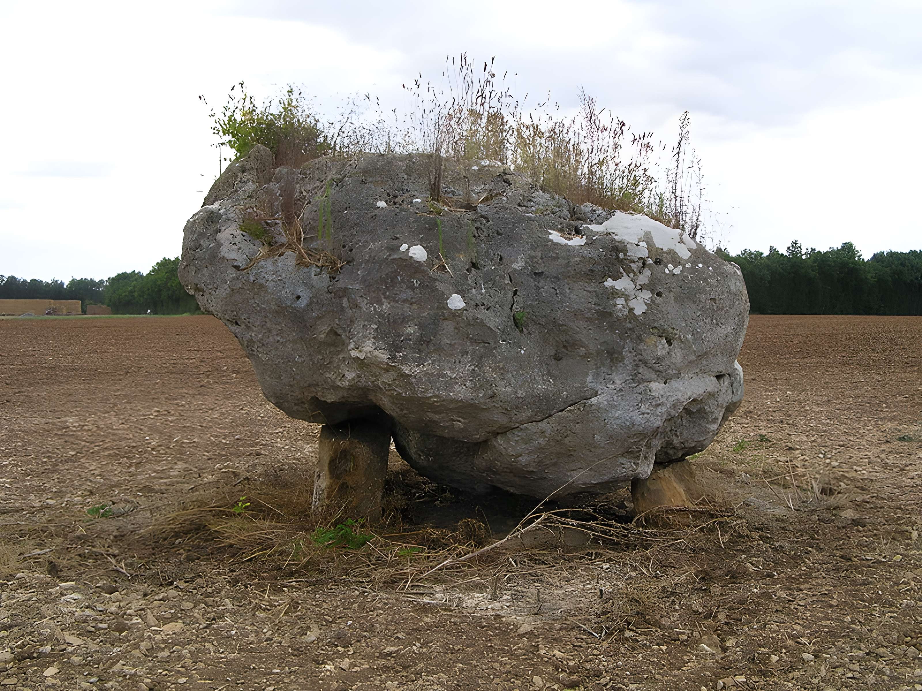 Dolmen de la Pierre Blanche à Bessé