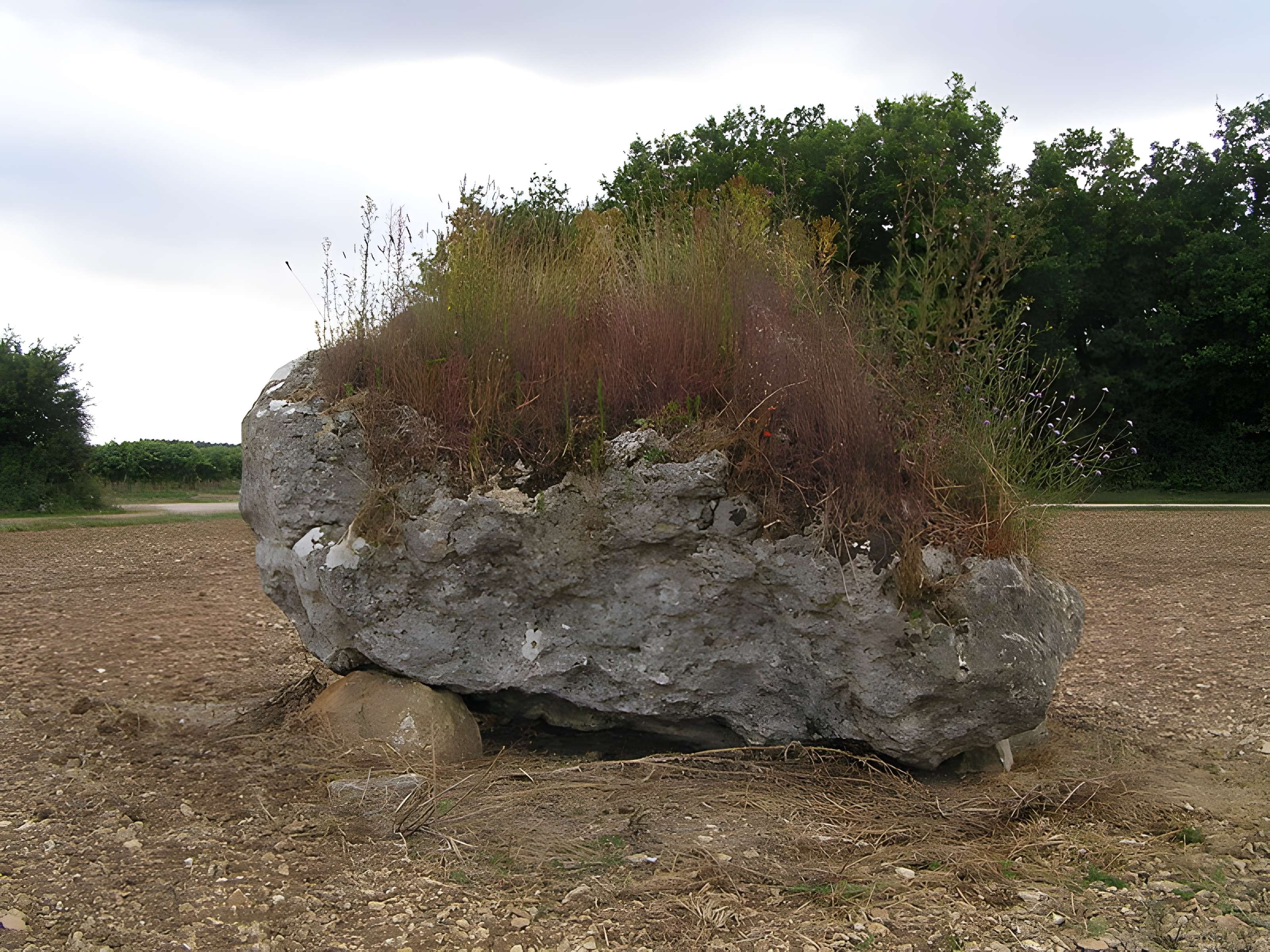 Dolmen de la Pierre Blanche à Bessé