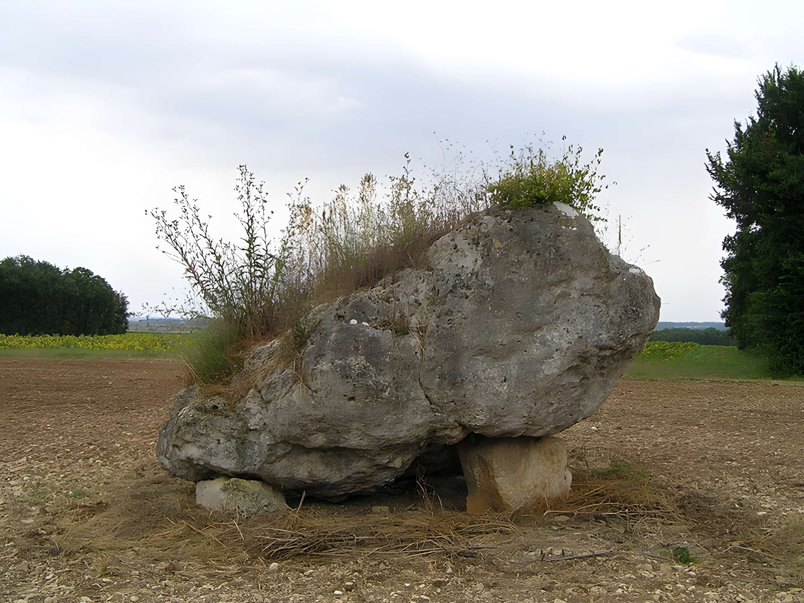 Dolmen de la Pierre Blanche à Bessé