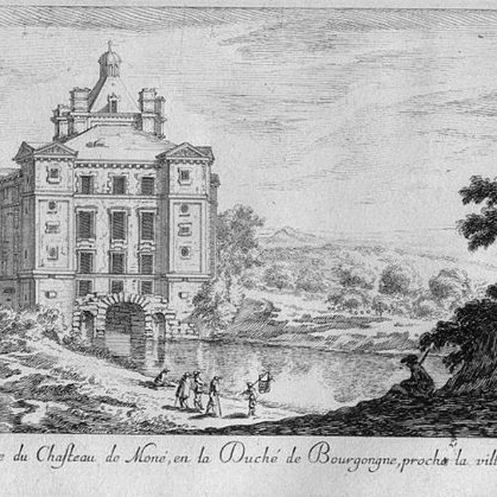 Photo de Château de Maulnes