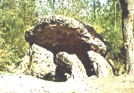 Photo de Dolmen de la Pierre couverte à Vaas