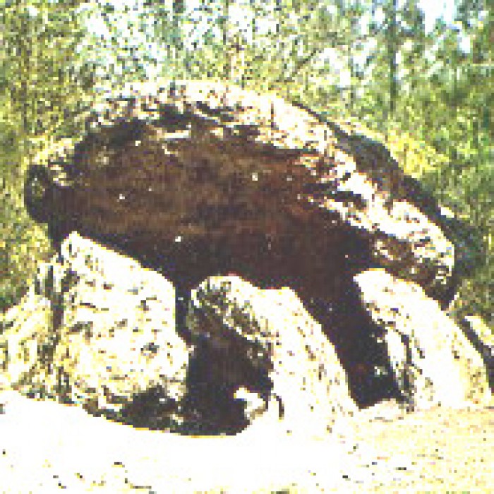 Photo de Dolmen de la Pierre couverte à Vaas