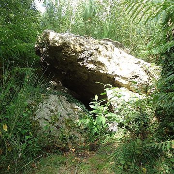 Dolmen de la Pierre couverte à Vaas