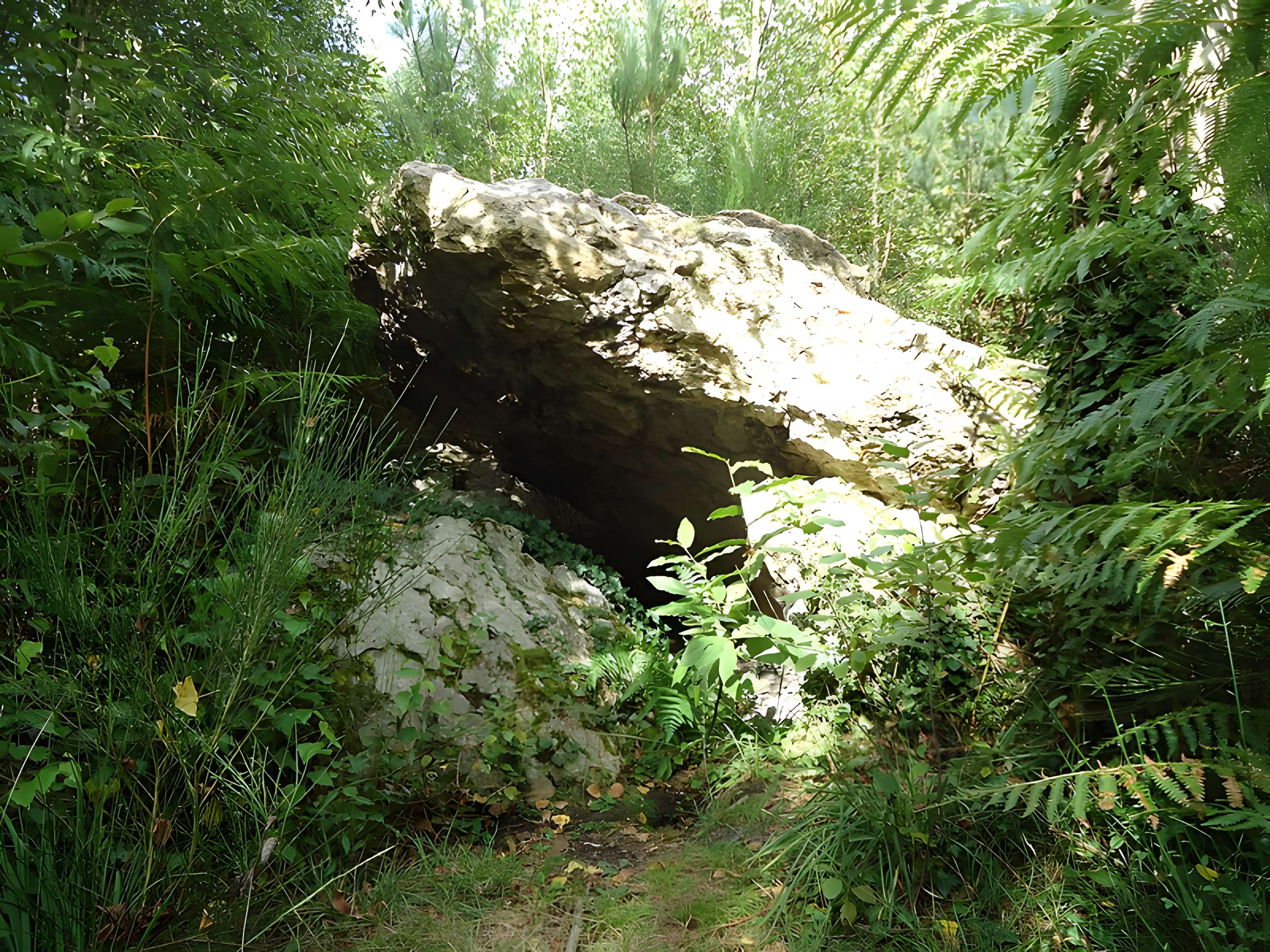 Dolmen de la Pierre couverte à Vaas