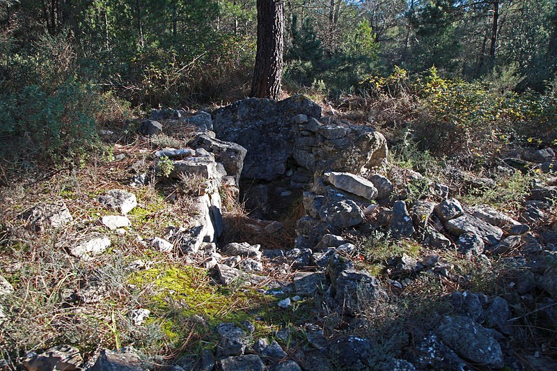 Photo de Dolmen de Lou Serre Dinguille à Saint-Cézaire-sur-Siagne