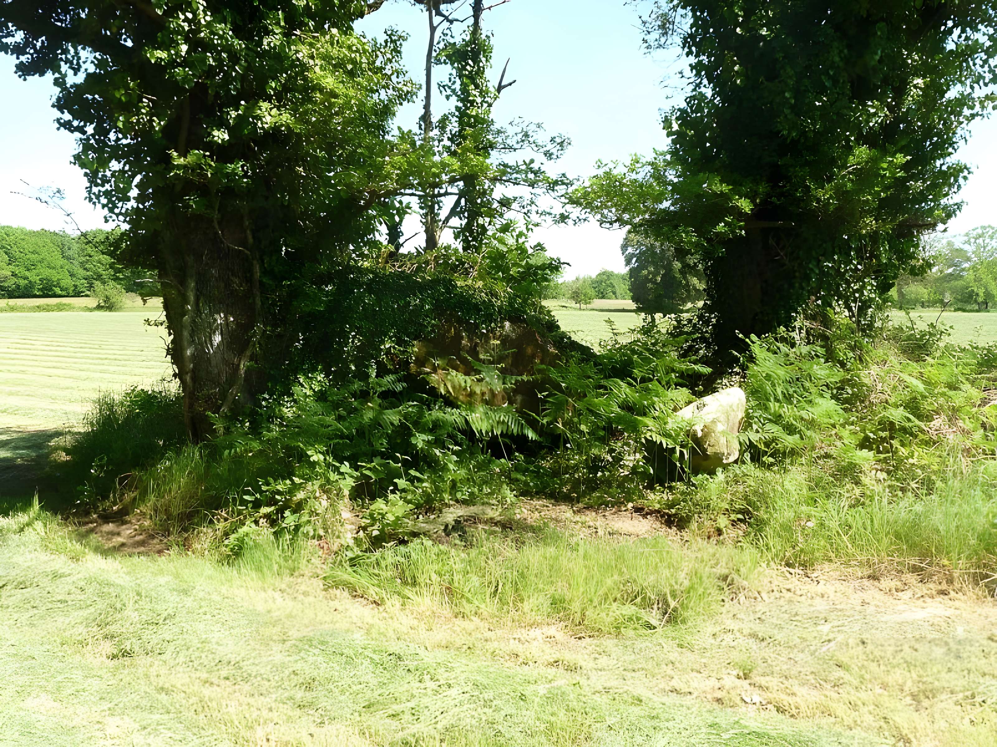Dolmen de Tauzat à Massignac 