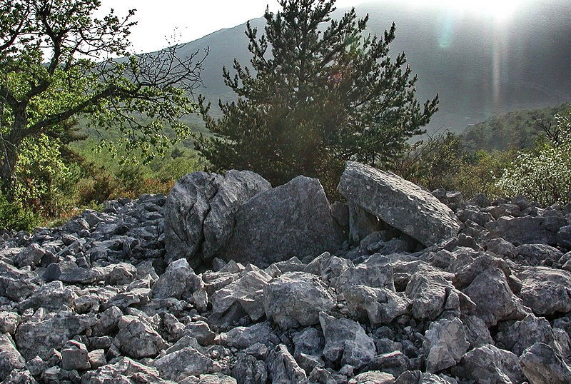 Photo de Dolmen des Claps à Escragnolles
