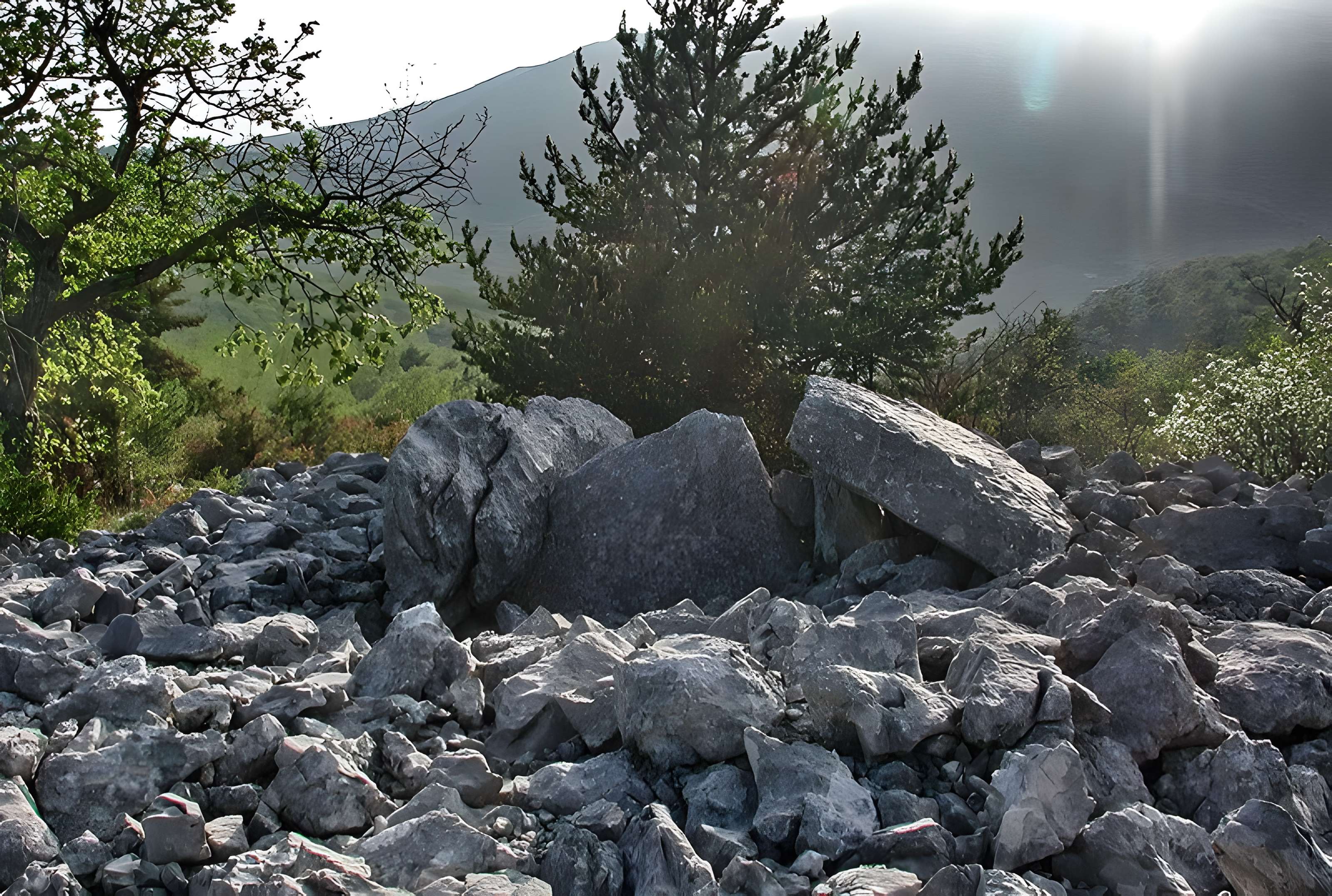 Dolmen des Claps à Escragnolles 