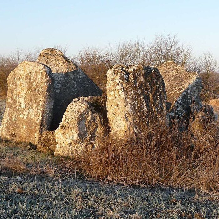Photo de Dolmen des Courades à Saint-Même-les-Carrières