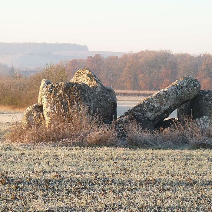 Photo de Dolmen des Courades à Saint-Même-les-Carrières