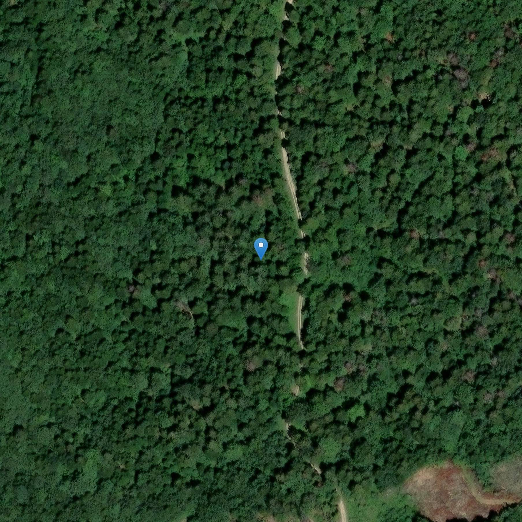 Photo de Chiesa di Saint-Étienne de Roissard