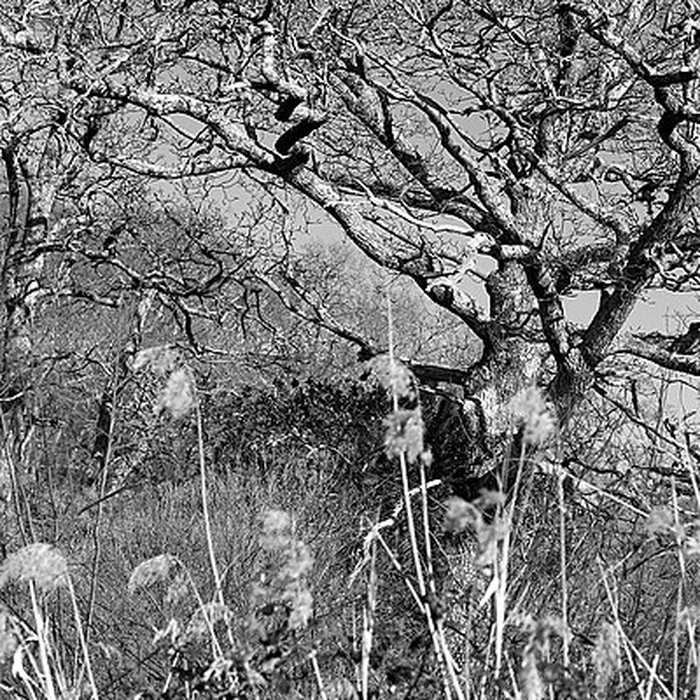 Photo de Domaine de Certes à Audenge