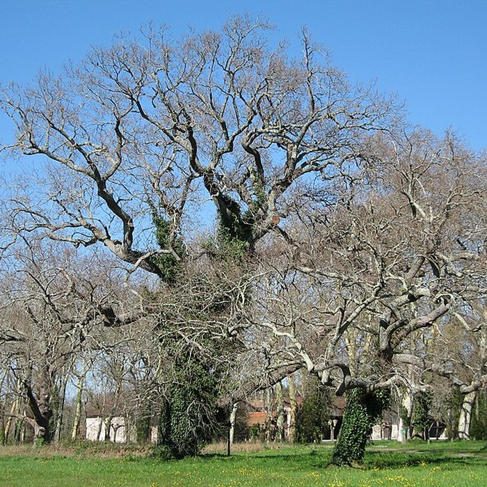 Photo de Domaine de Certes à Audenge