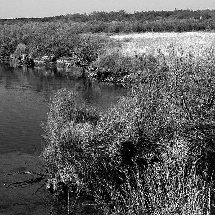 Photo de Domaine de Certes à Audenge
