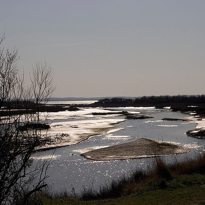 Photo de Domaine de Certes à Audenge