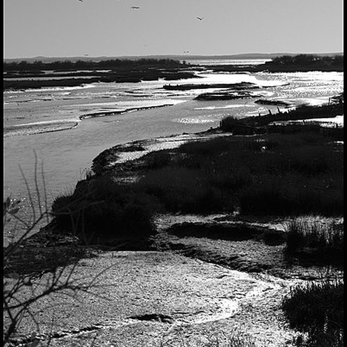 Photo de Domaine de Certes à Audenge
