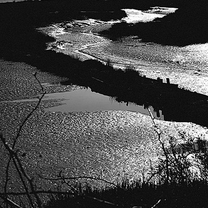 Photo de Domaine de Certes à Audenge