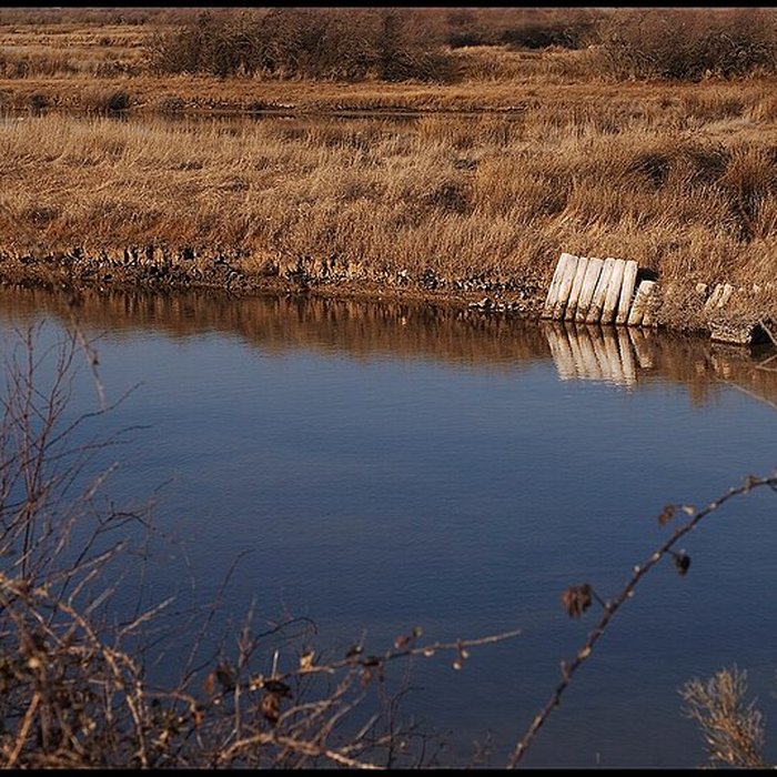 Photo de Domaine de Certes à Audenge
