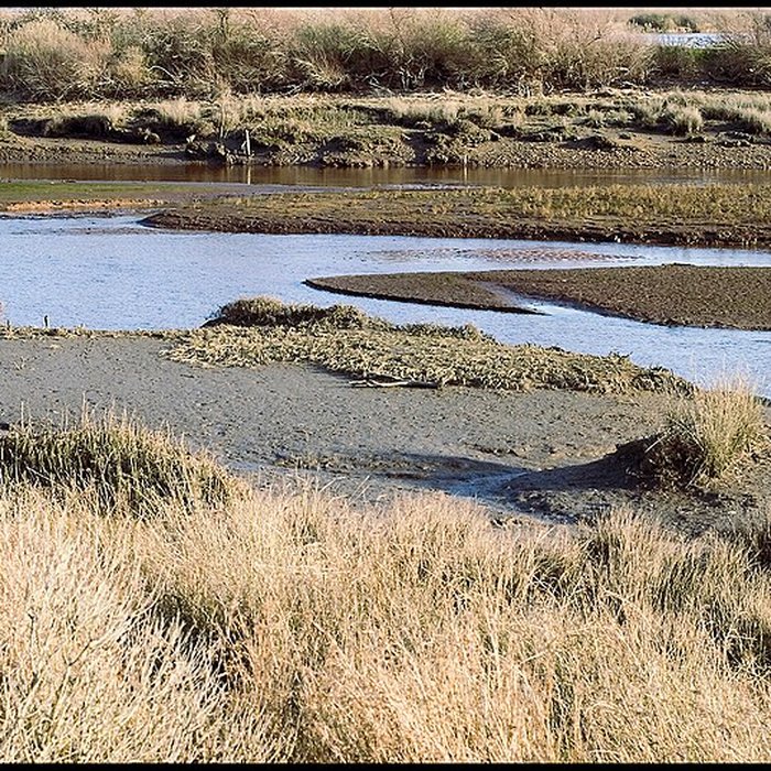 Photo de Domaine de Certes à Audenge