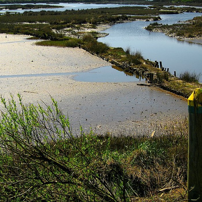 Photo de Domaine de Certes à Audenge