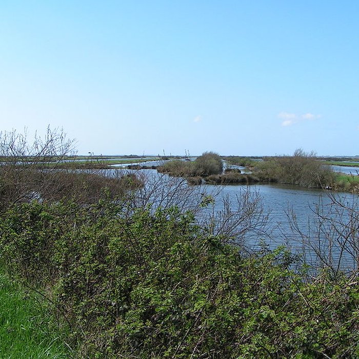 Photo de Domaine de Certes à Audenge