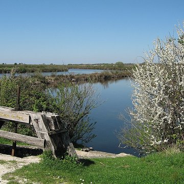 Domaine de Certes à Audenge