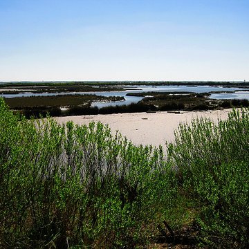 Domaine de Certes à Audenge