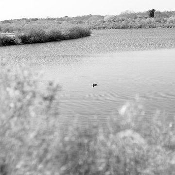 Domaine de Certes à Audenge