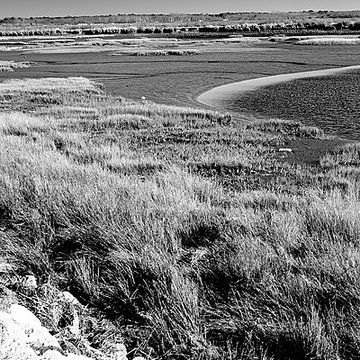 Domaine de Certes à Audenge