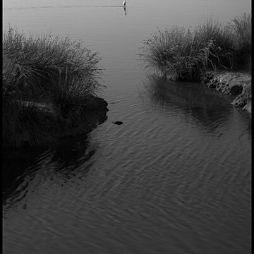 Domaine de Certes à Audenge